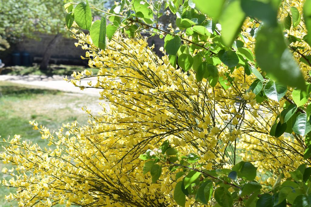 La Ginestra Guest House Orosei Ngoại thất bức ảnh